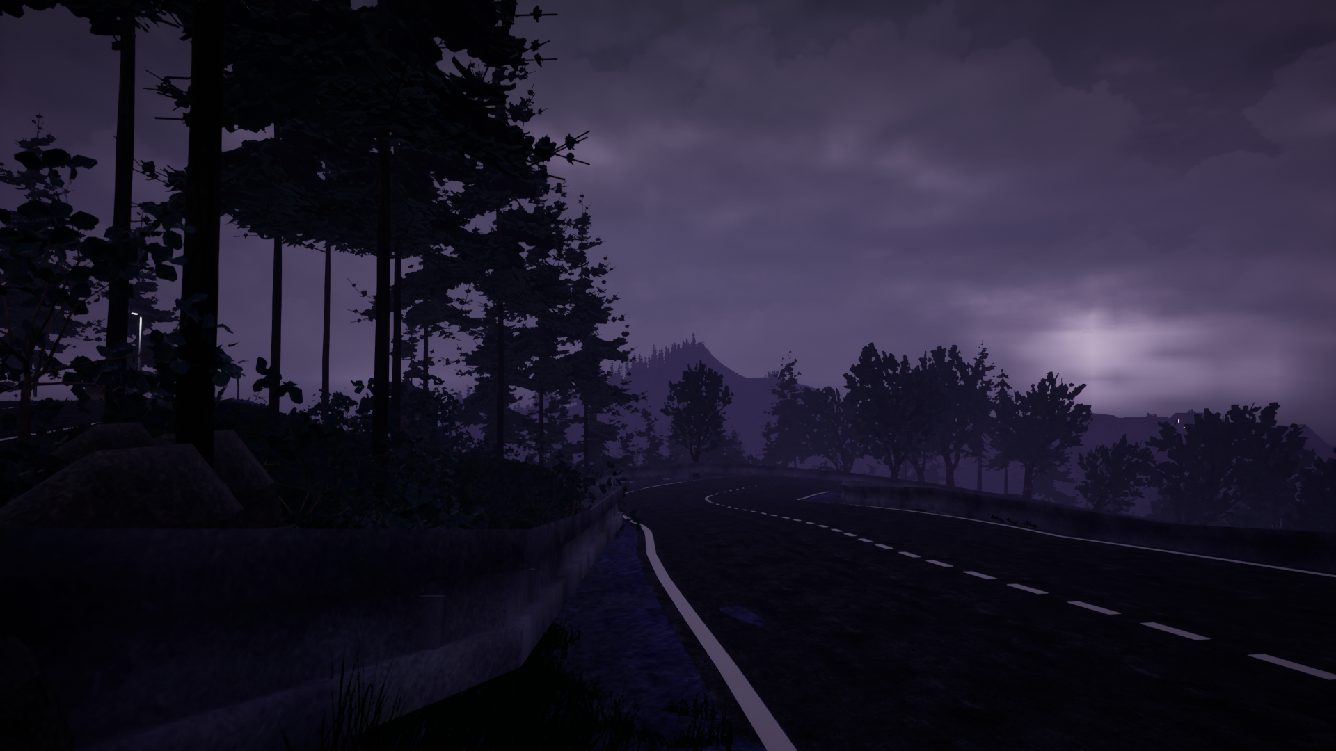 Gloomy forest, the road further down, and dark cloudy sky in the background.