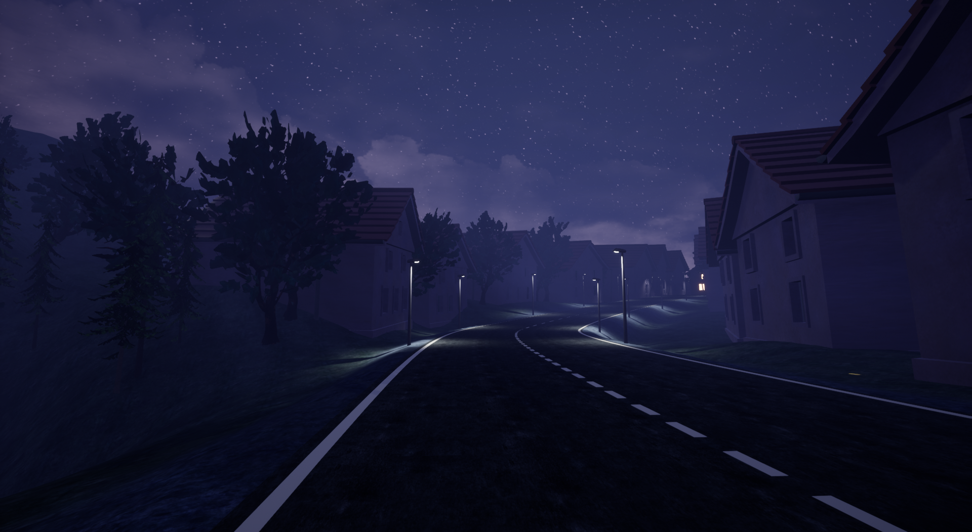 The entrance to a village at night time. Several streetlights and houses along the street.